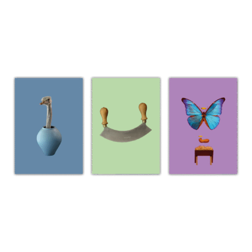 Kartenset «Leçon de Choses»